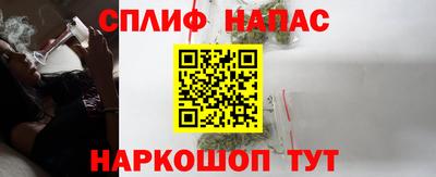 гидра Тулун