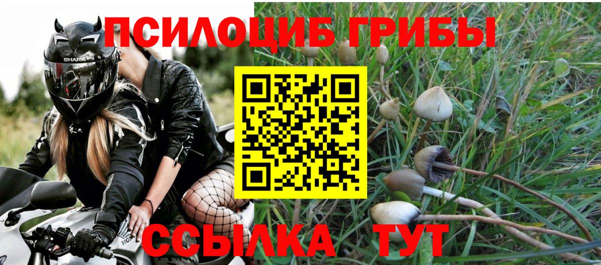 Набережные Челны  Галлюциногенные грибы MAGIC MUSHROOMS  хочу   Вход с VPN  Галлюциногенные грибы Psilocybine cubensis 