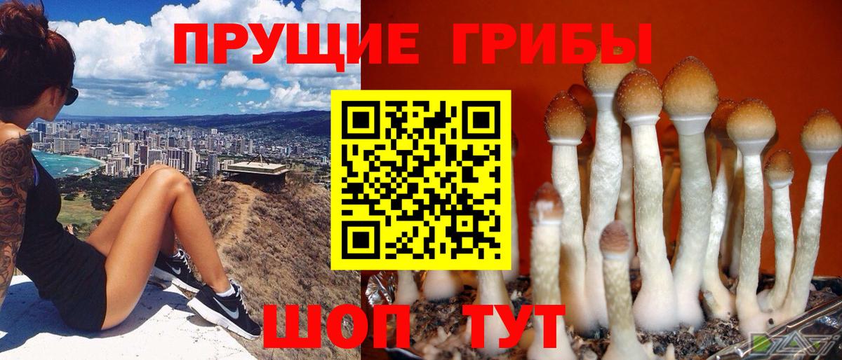 Галлюциногенные грибы мицелий Набережные Челны